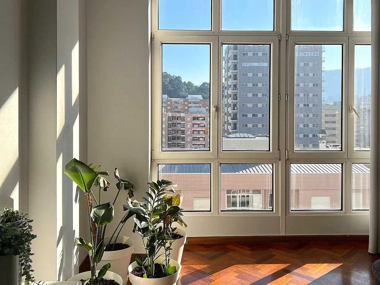 Fensterfront einer Stadtwohnung